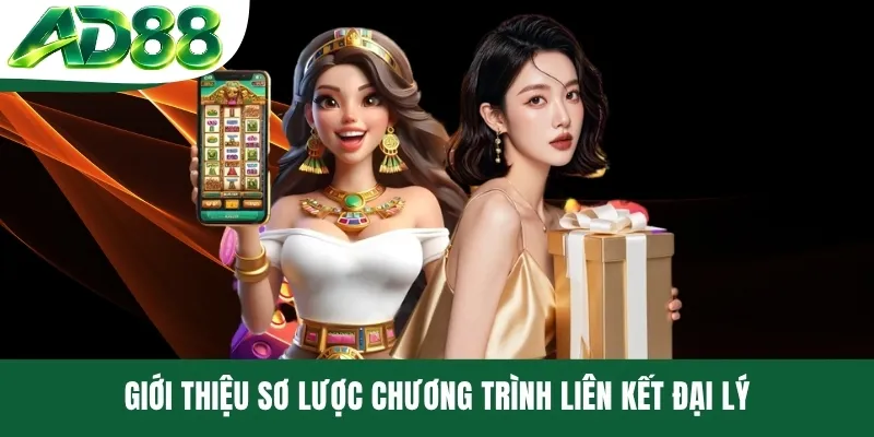 Giới thiệu sơ lược chương trình liên kết đại lý Giới thiệu sơ lược chương trình liên kết đại lý