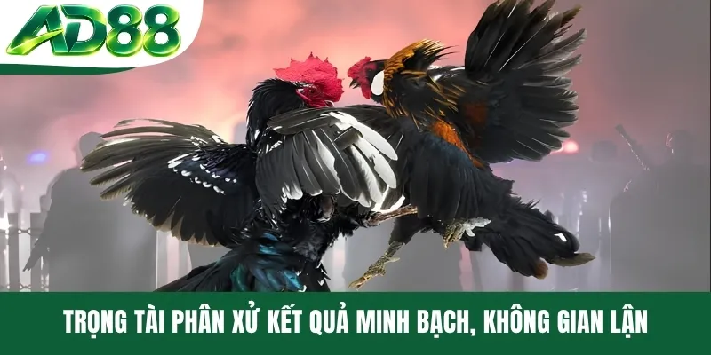 Trọng tài phân xử kết quả minh bạch, không gian lận Trọng tài phân xử kết quả minh bạch, không gian lận